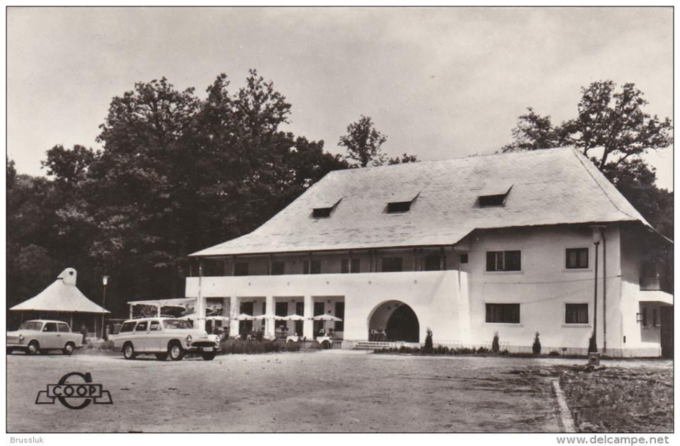 Pensiunea Valea Ursului Bascov Exterior photo