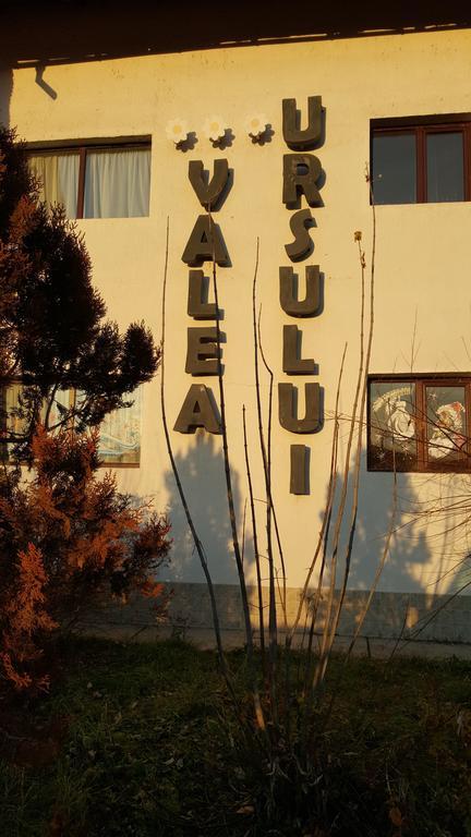 Pensiunea Valea Ursului Bascov Exterior photo